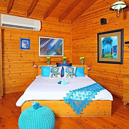 해드 네스 The Golan Cabin 빌라 외부 사진