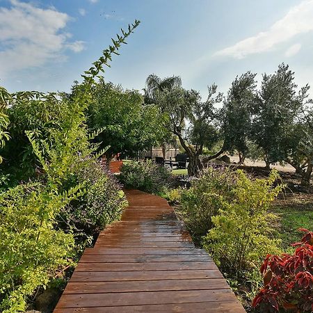 해드 네스 The Golan Cabin 빌라 외부 사진